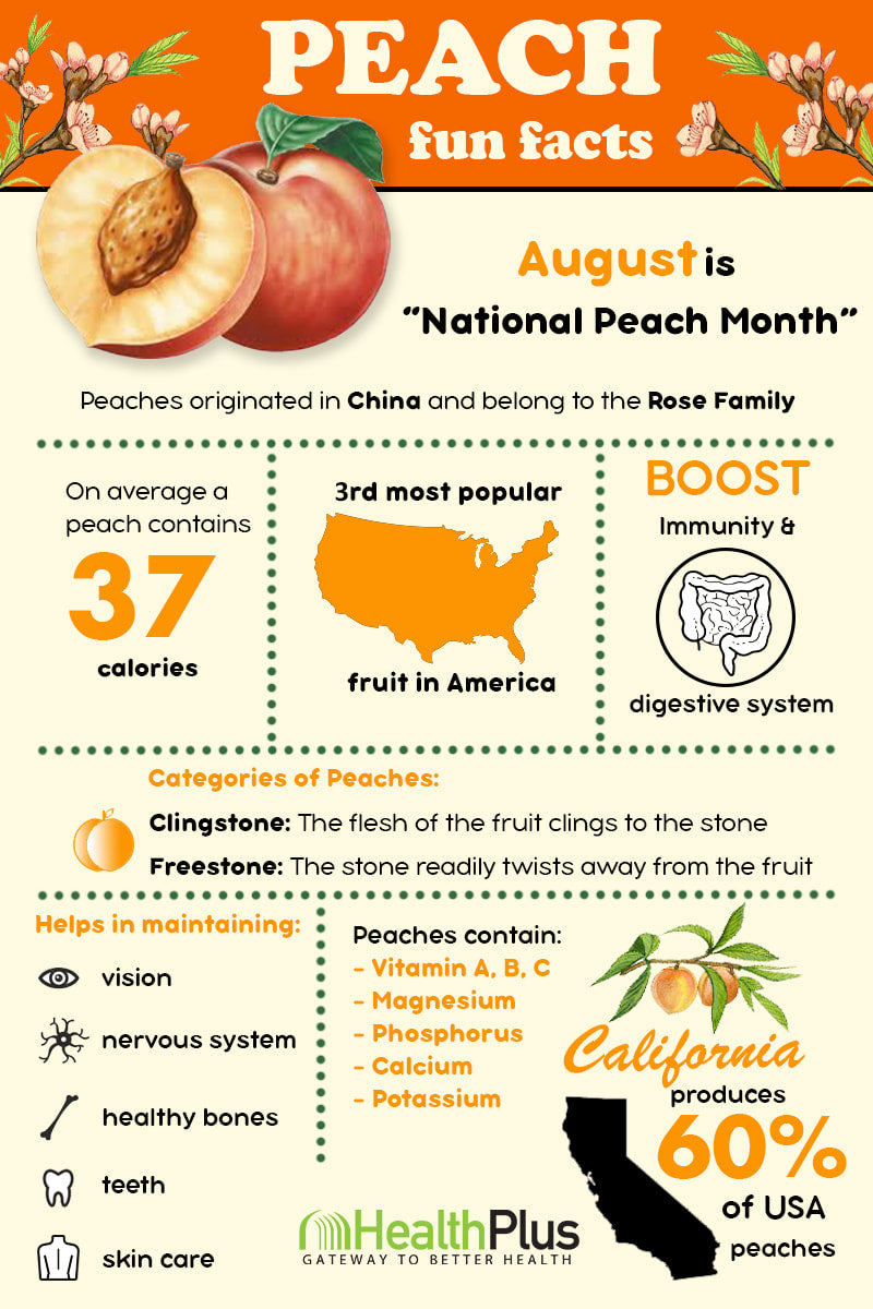 Peaches: Yummy for the Tummy Peaches: Yummy for the Tummy