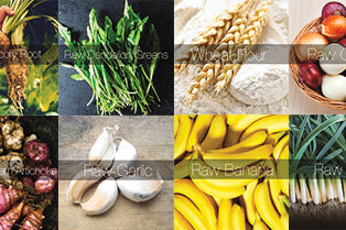 WHAT ARE PREBIOTICS? WHAT DO THEY DO? WHAT ARE PREBIOTICS? WHAT DO THEY DO?