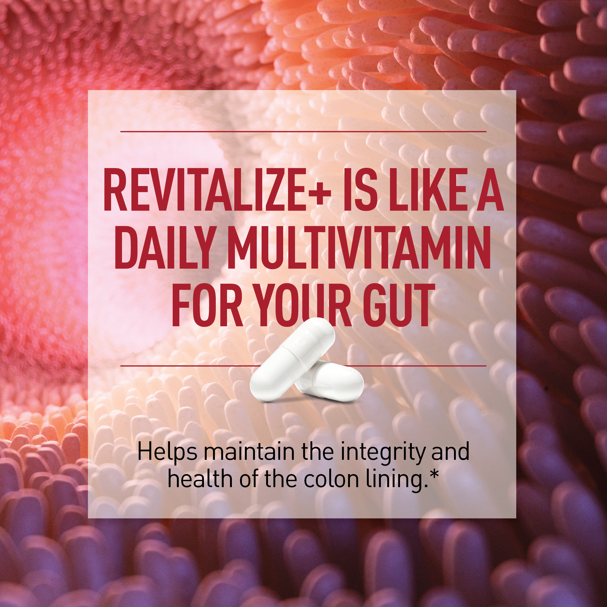Revitalize+™ Advanced Gut Health Supplement for Gut, Colon & Immune Support