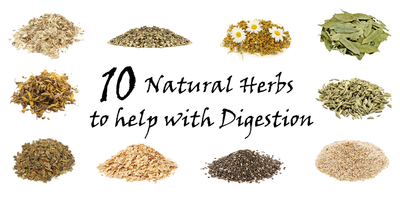 10 Natural Herbs to Help with Digestion