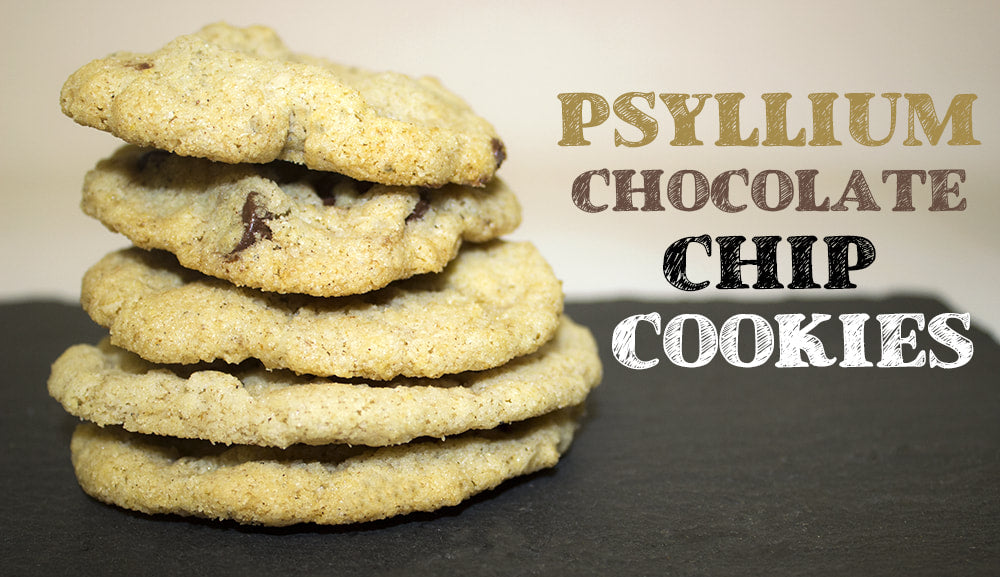 RECIPE: Psyllium Chocolate Chip Cookie