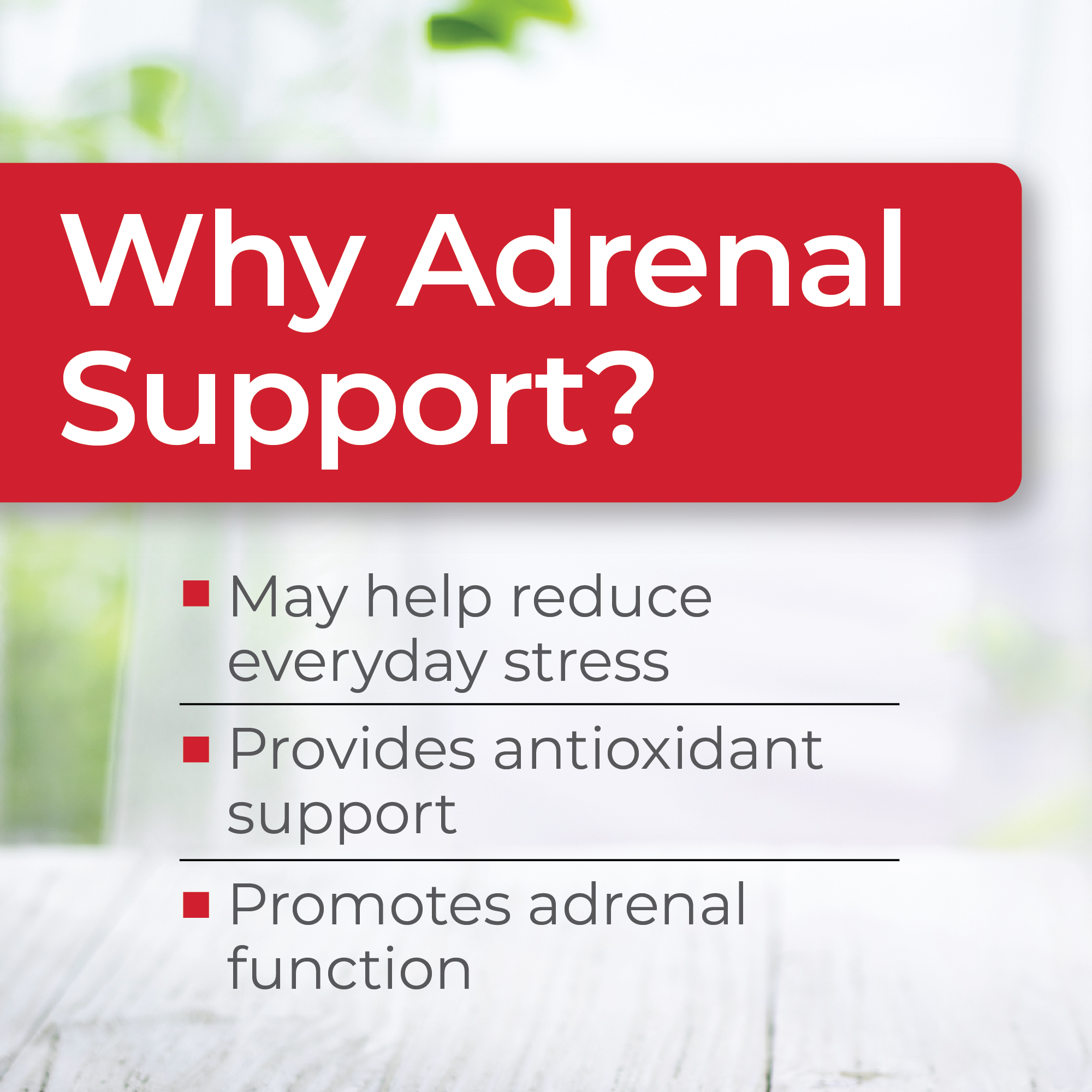 Adrenal Support™