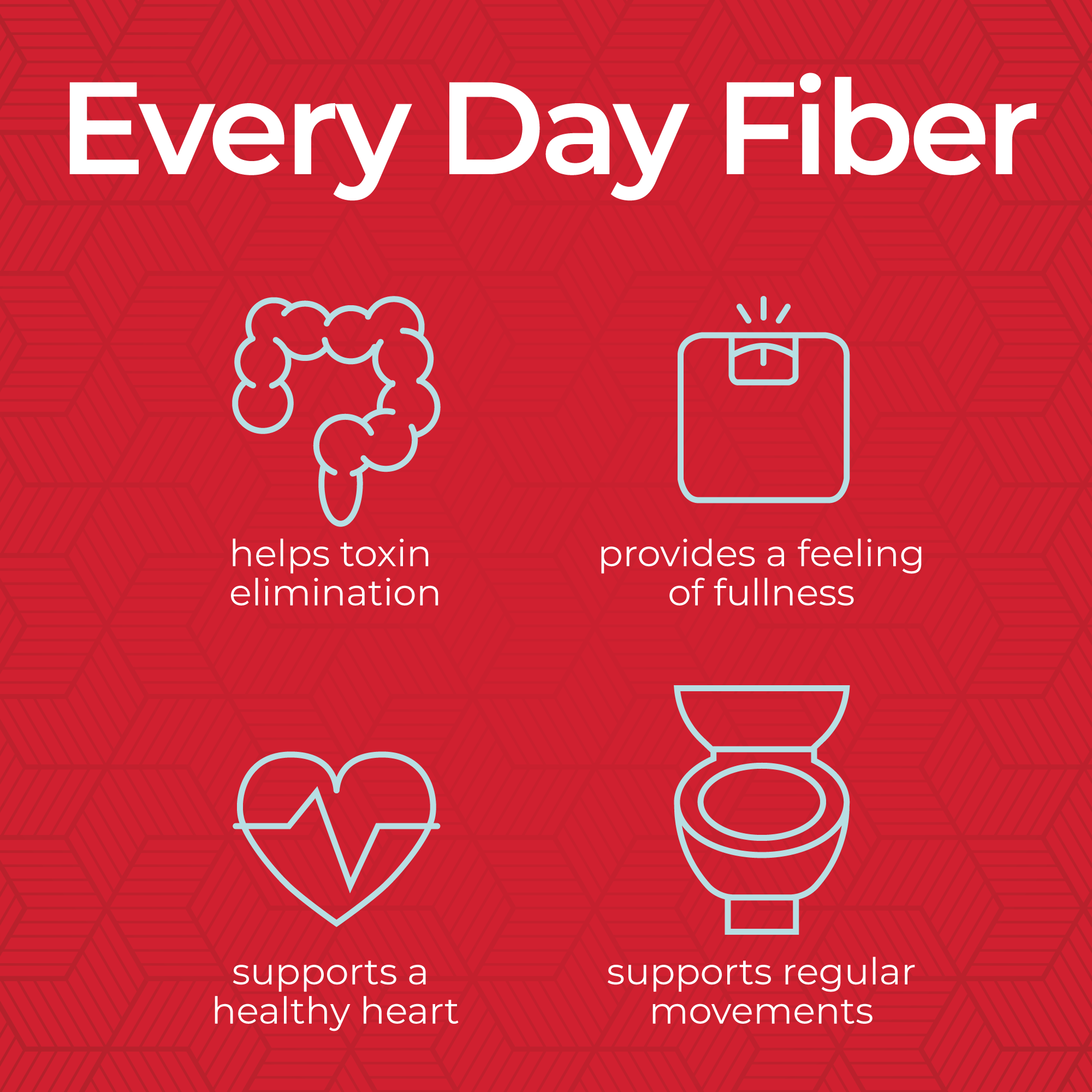 Every Day Fiber™