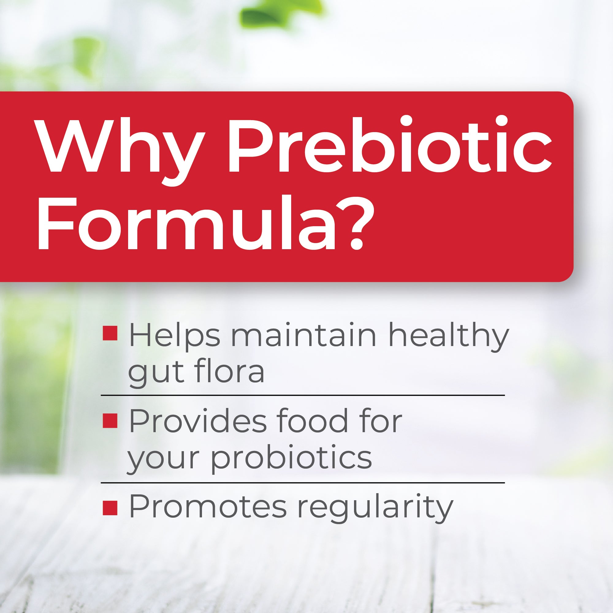 Prebiotic Formula™