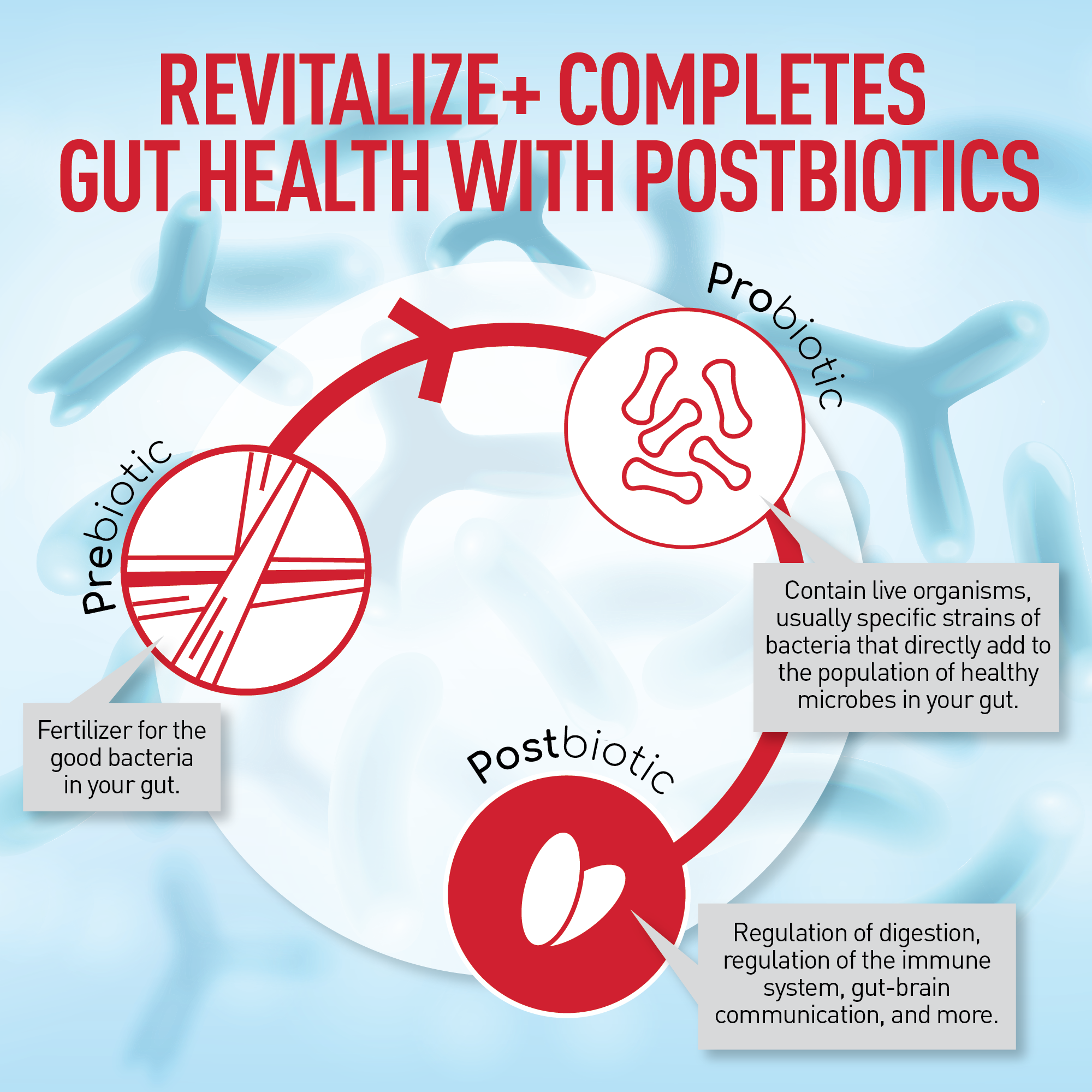 Revitalize+™ Advanced Gut Health Supplement for Gut, Colon & Immune Support
