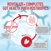 Revitalize+™ Advanced Gut Health Supplement for Gut, Colon & Immune Support