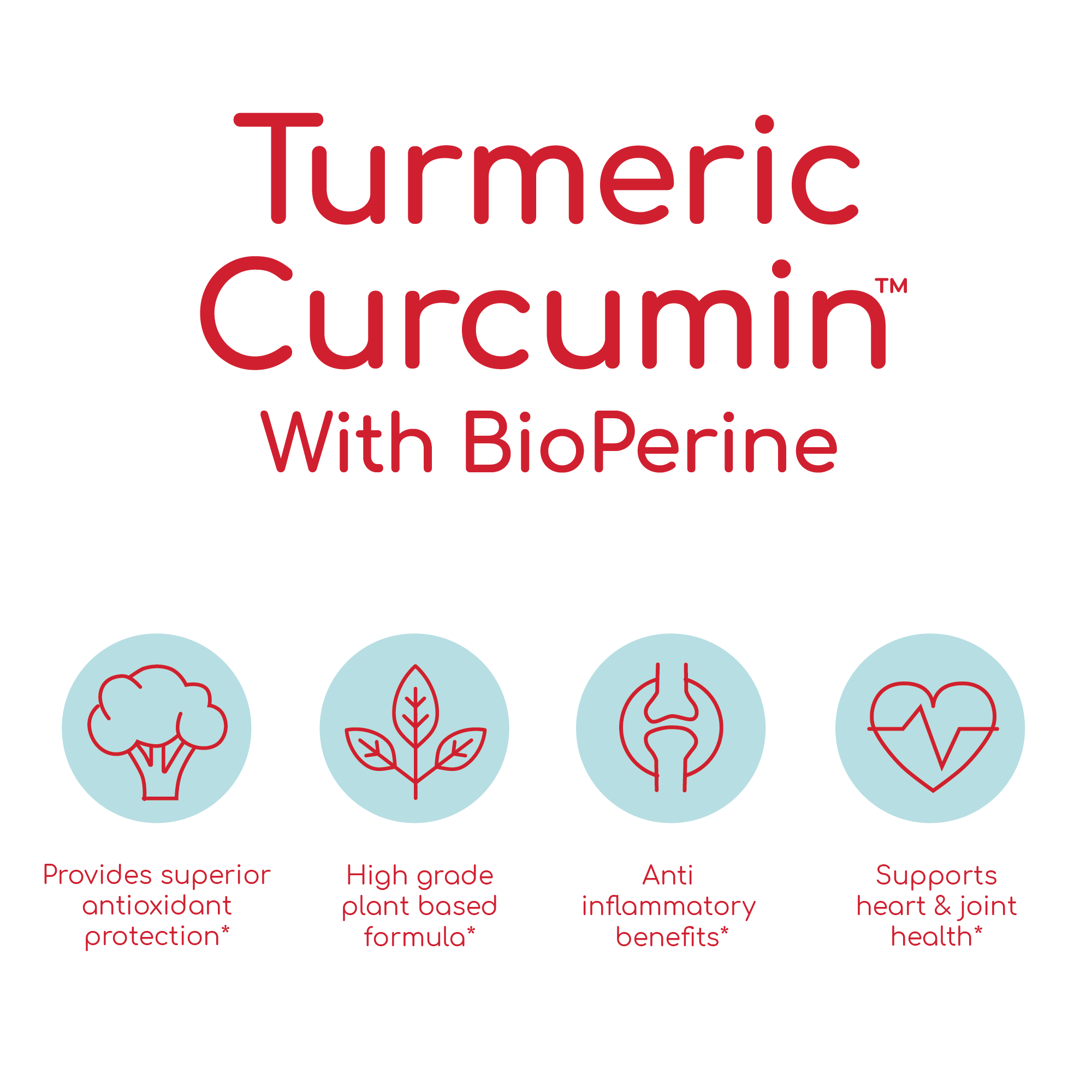 Turmeric Curcumin™ with BioPerine® - 90 Capsules